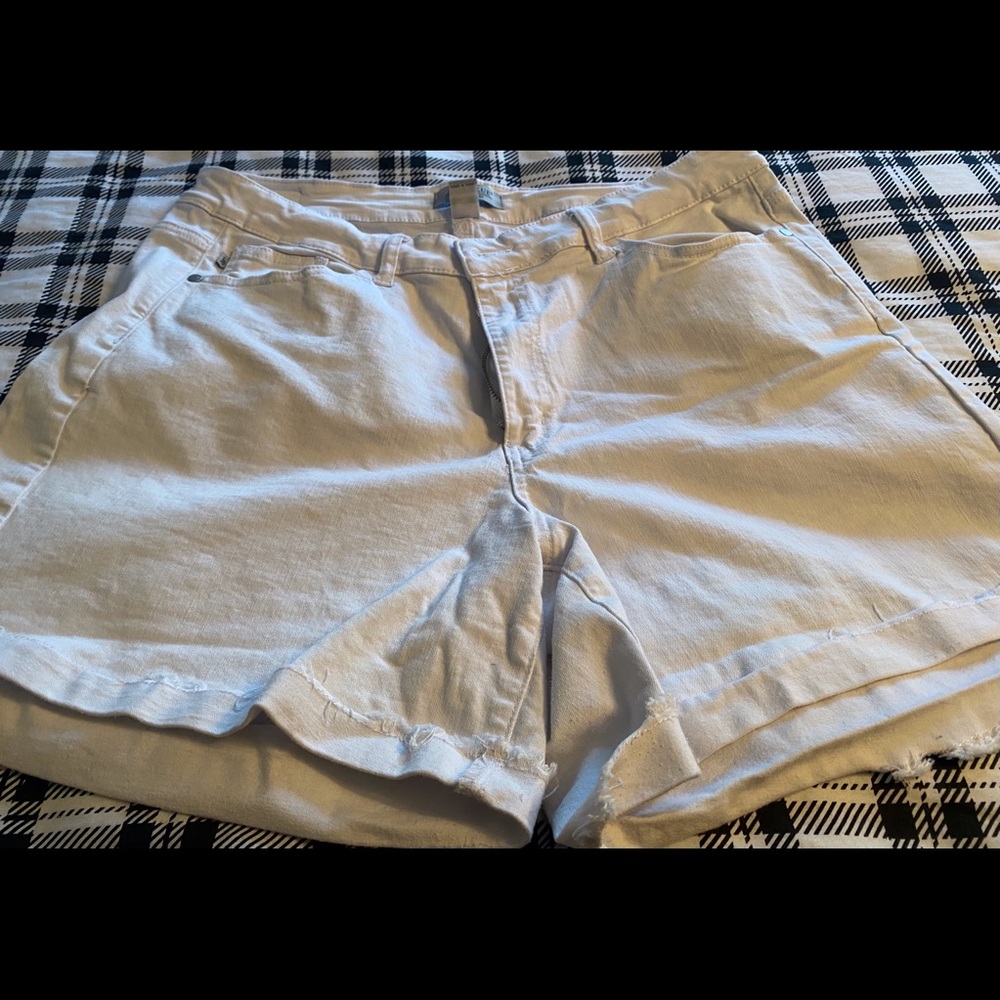 Judy Blue Shorts